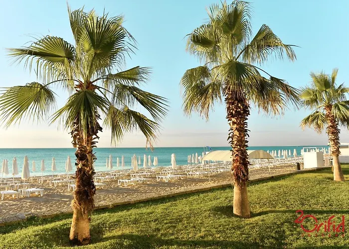 فندق Sentido Marea